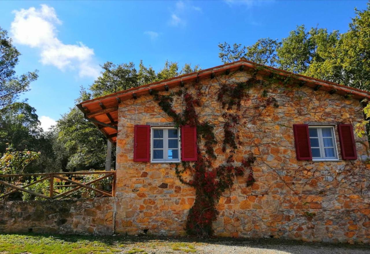 Il Daino Bianco Country Hotel 曼恰诺 外观 照片